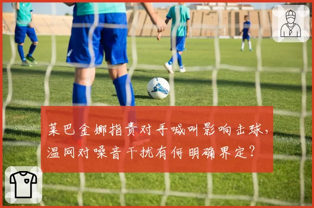 莱巴金娜指责对手喊叫影响击球,温网对噪音干扰有何明确界定?