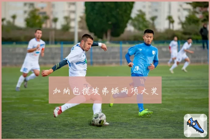 加纳包揽埃弗顿两项大奖