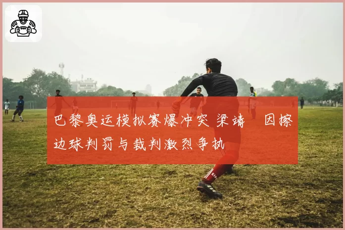 巴黎奥运模拟赛爆冲突 梁靖崑因擦边球判罚与裁判激烈争执